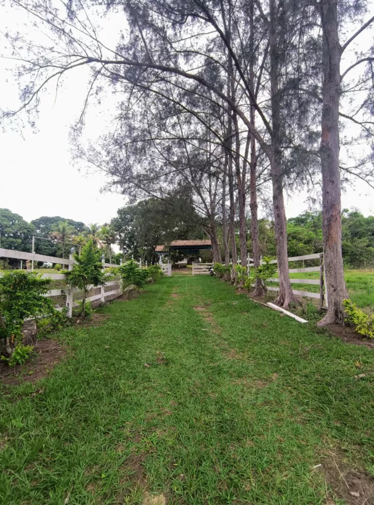 Casa, 8 quartos, 47503 m² - Foto 39