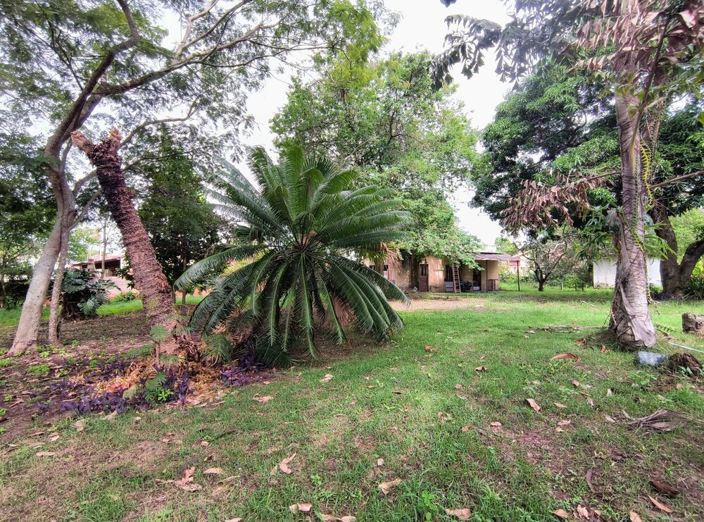 Casa, 3 quartos, 8904 m² - Foto 5