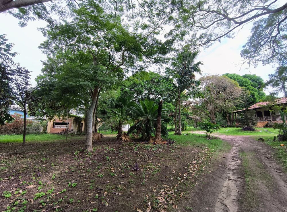 Casa, 3 quartos, 8904 m² - Foto 21