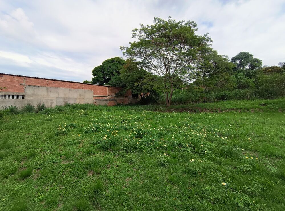 Casa, 3 quartos, 8904 m² - Foto 20