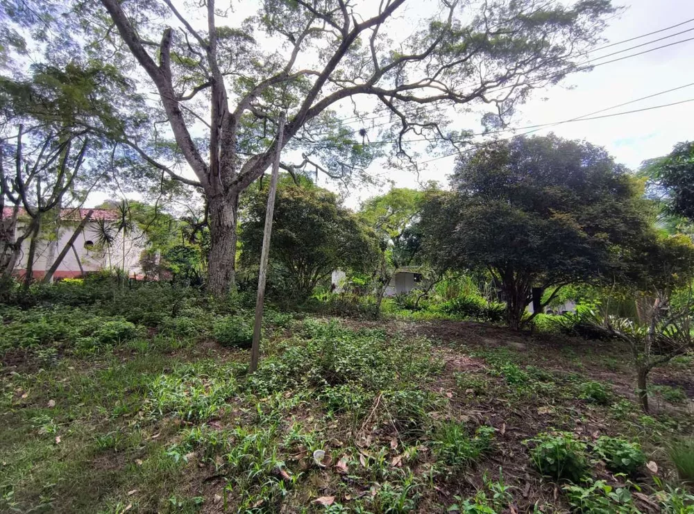 Casa, 3 quartos, 8904 m² - Foto 2