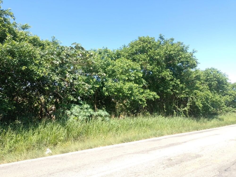 Terreno, 2000 m² - Foto 3
