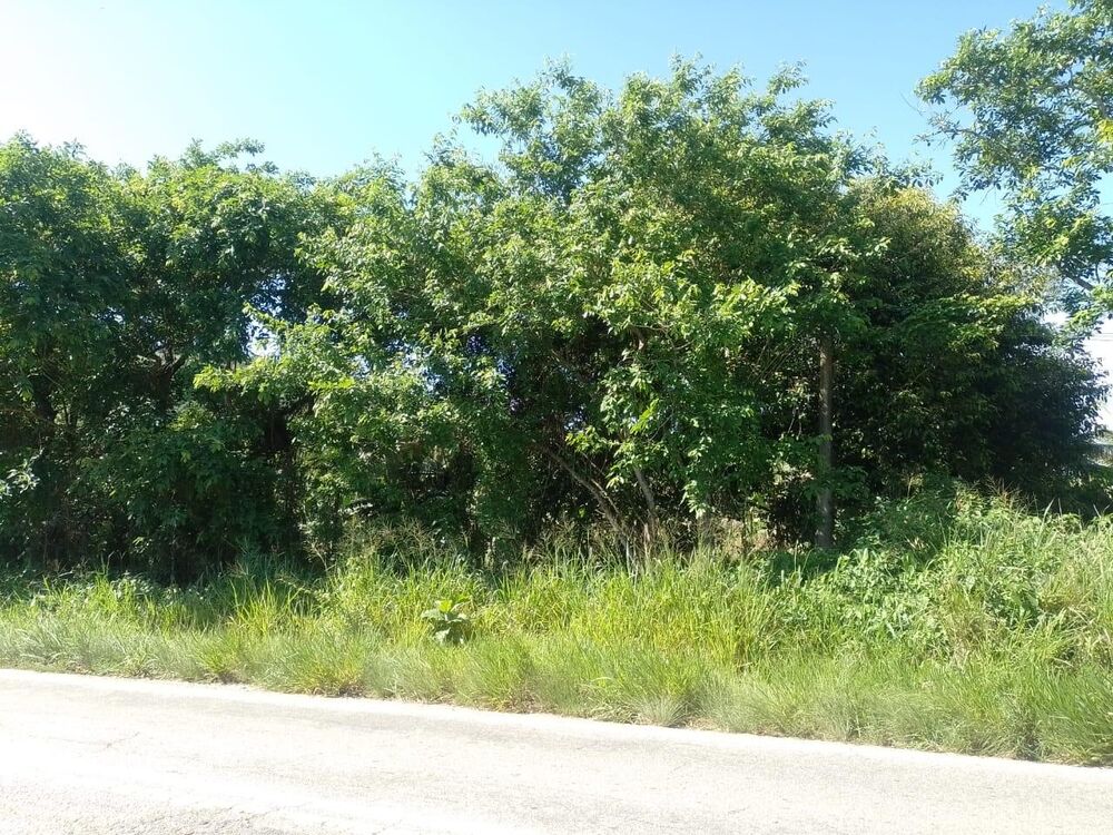 Terreno, 2000 m² - Foto 6