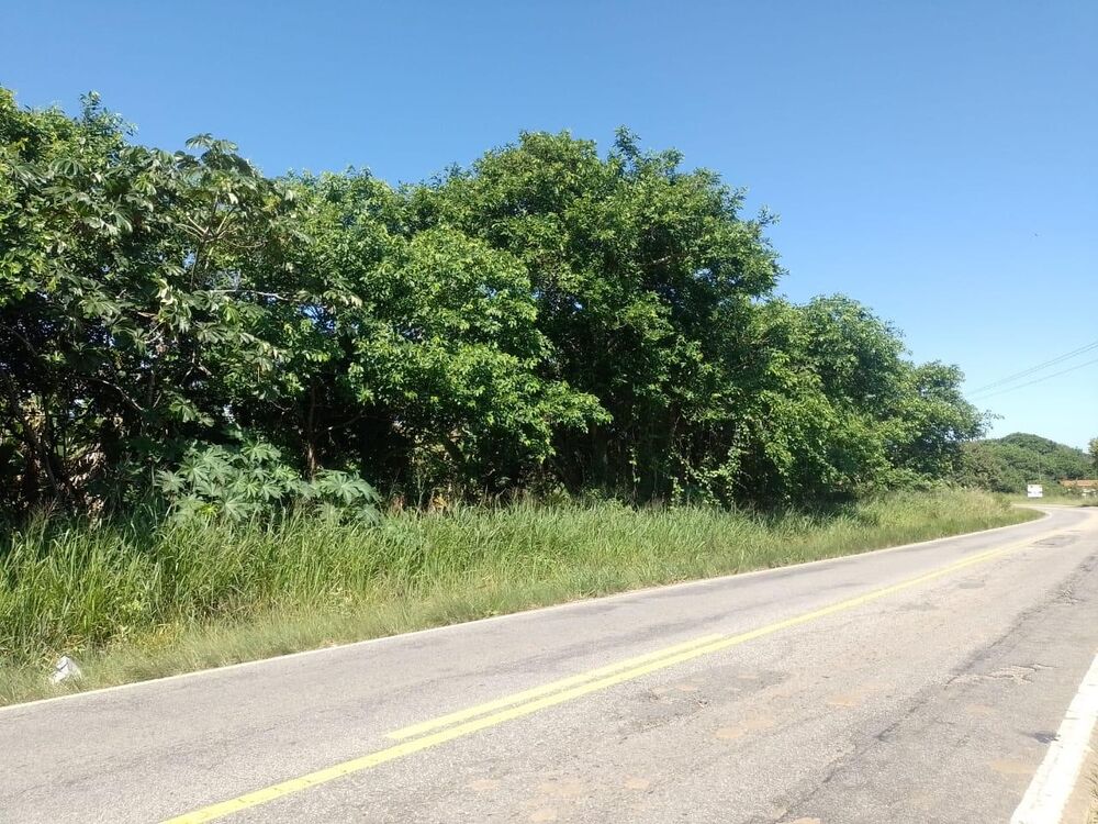 Terreno, 2000 m² - Foto 2