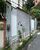 Casa, 3 quartos, 360 m² - Foto 1