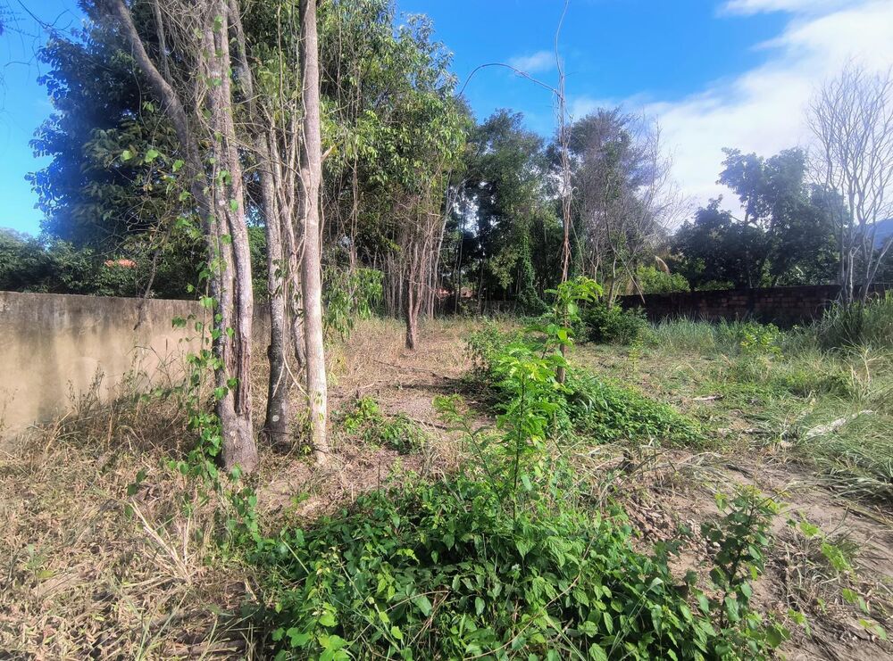 Terreno, 1080 m² - Foto 6