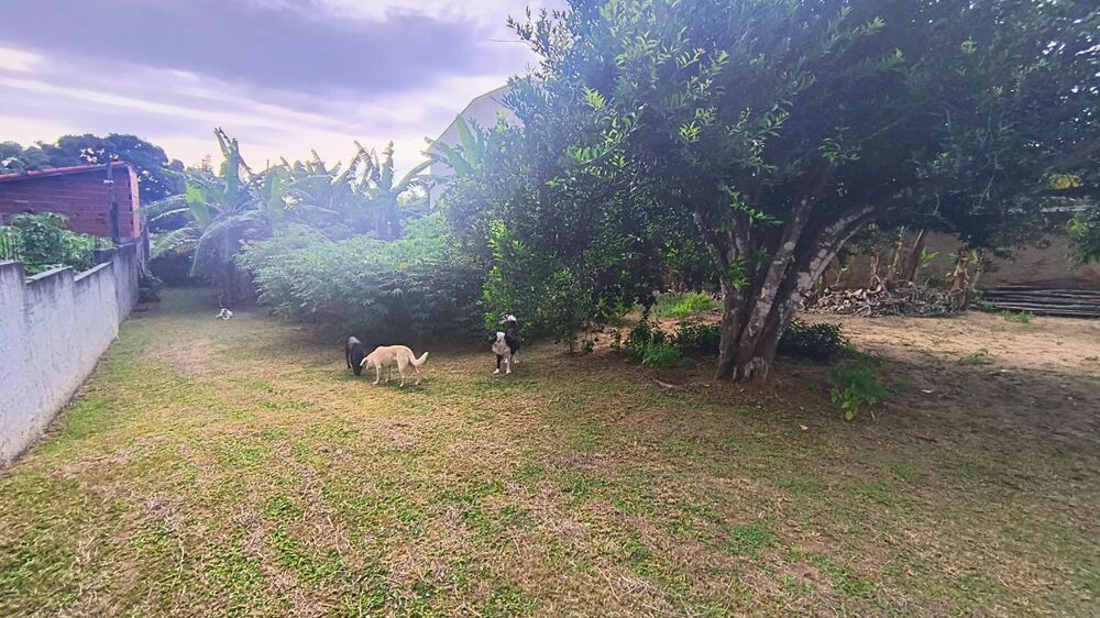 Terreno, 497 m² - Foto 11