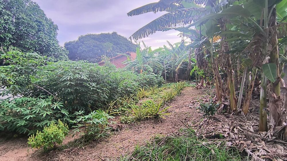 Terreno, 497 m² - Foto 7