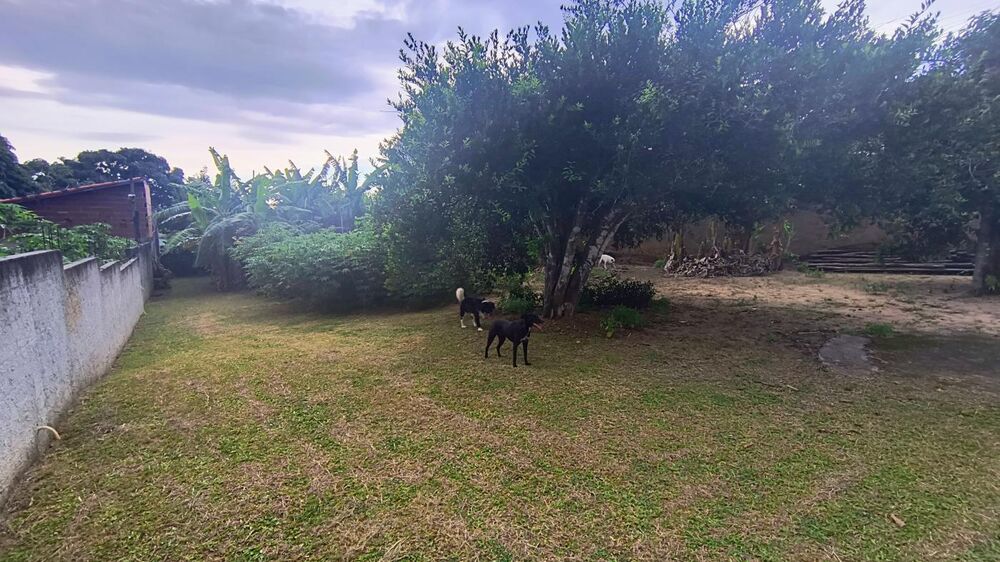 Terreno, 497 m² - Foto 10