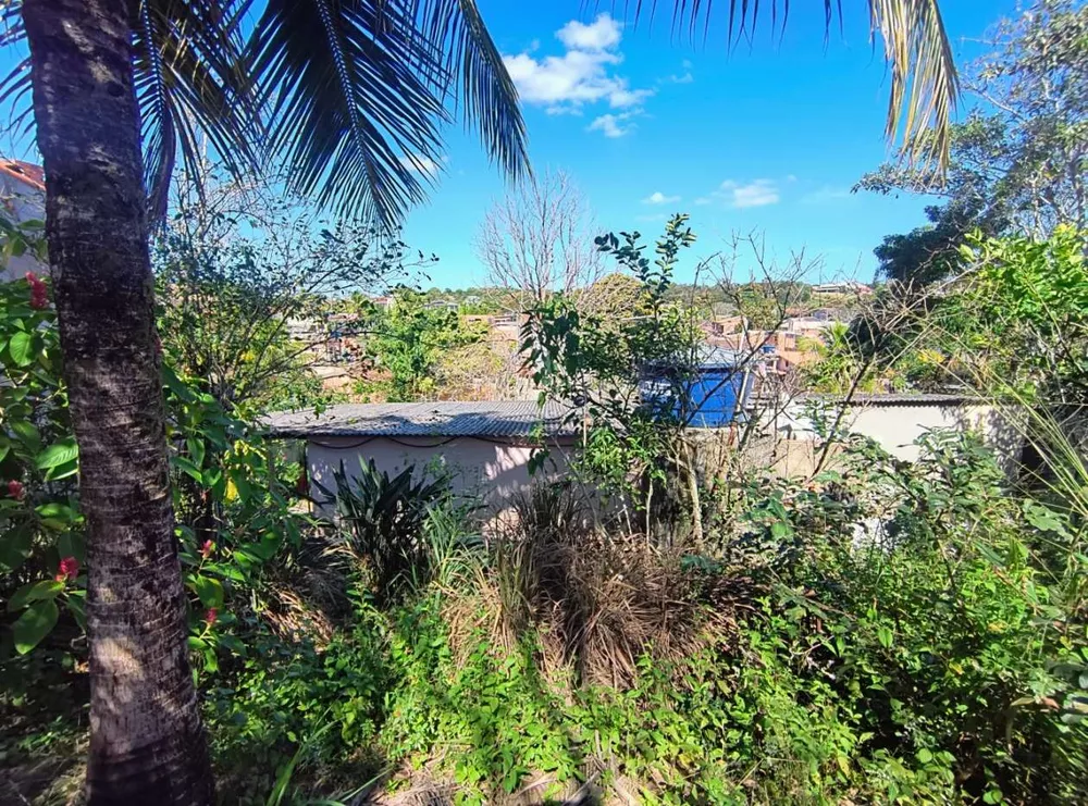 Casa, 2 quartos, 450 m² - Foto 4