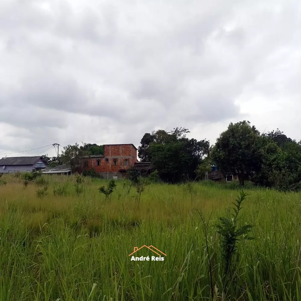 Terreno, 1 hectares - Foto 7