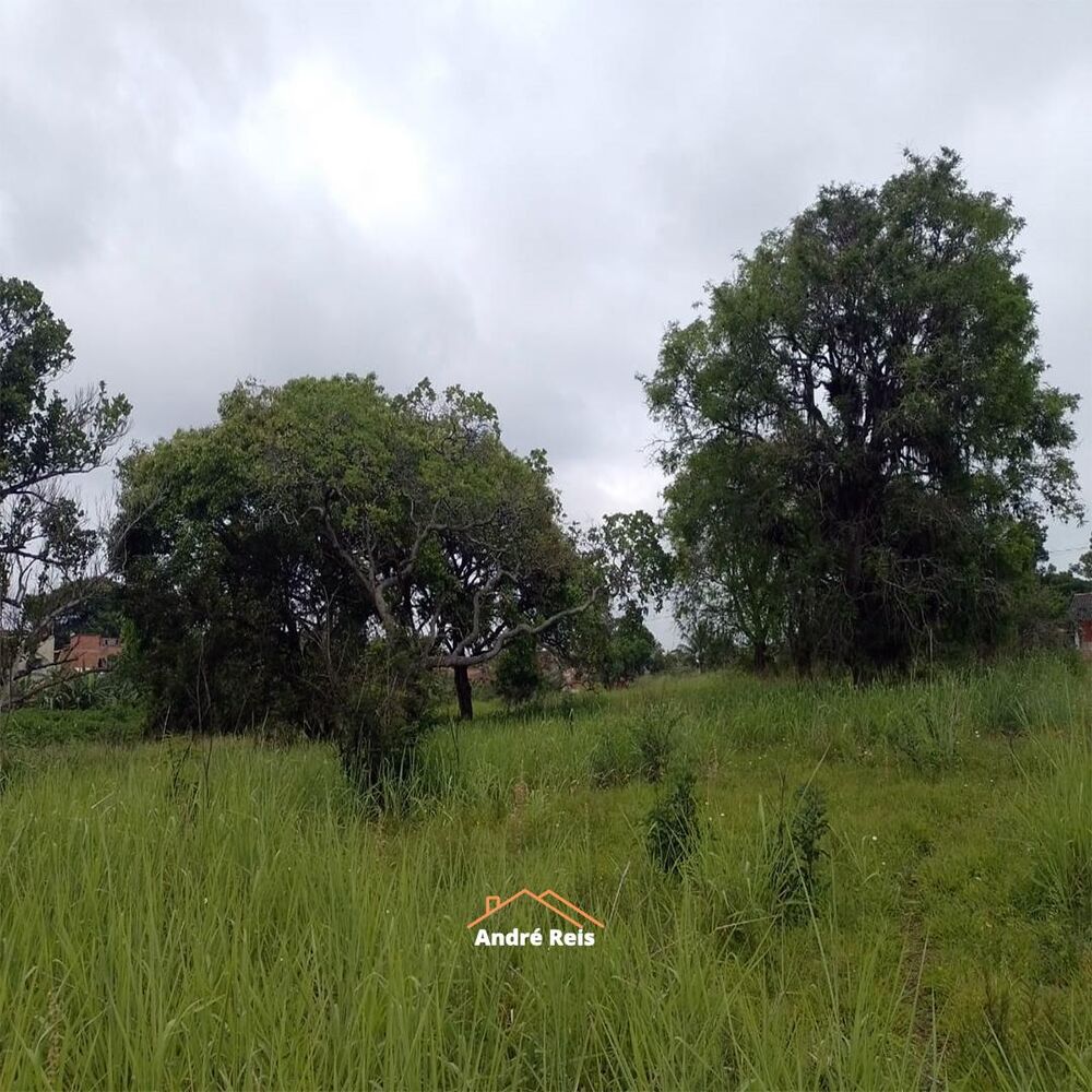 Terreno, 1 hectares - Foto 10
