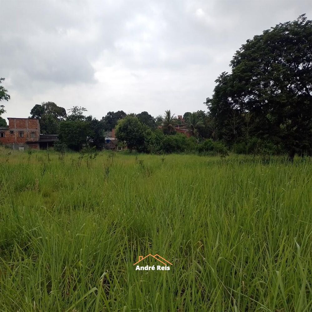 Terreno, 1 hectares - Foto 3