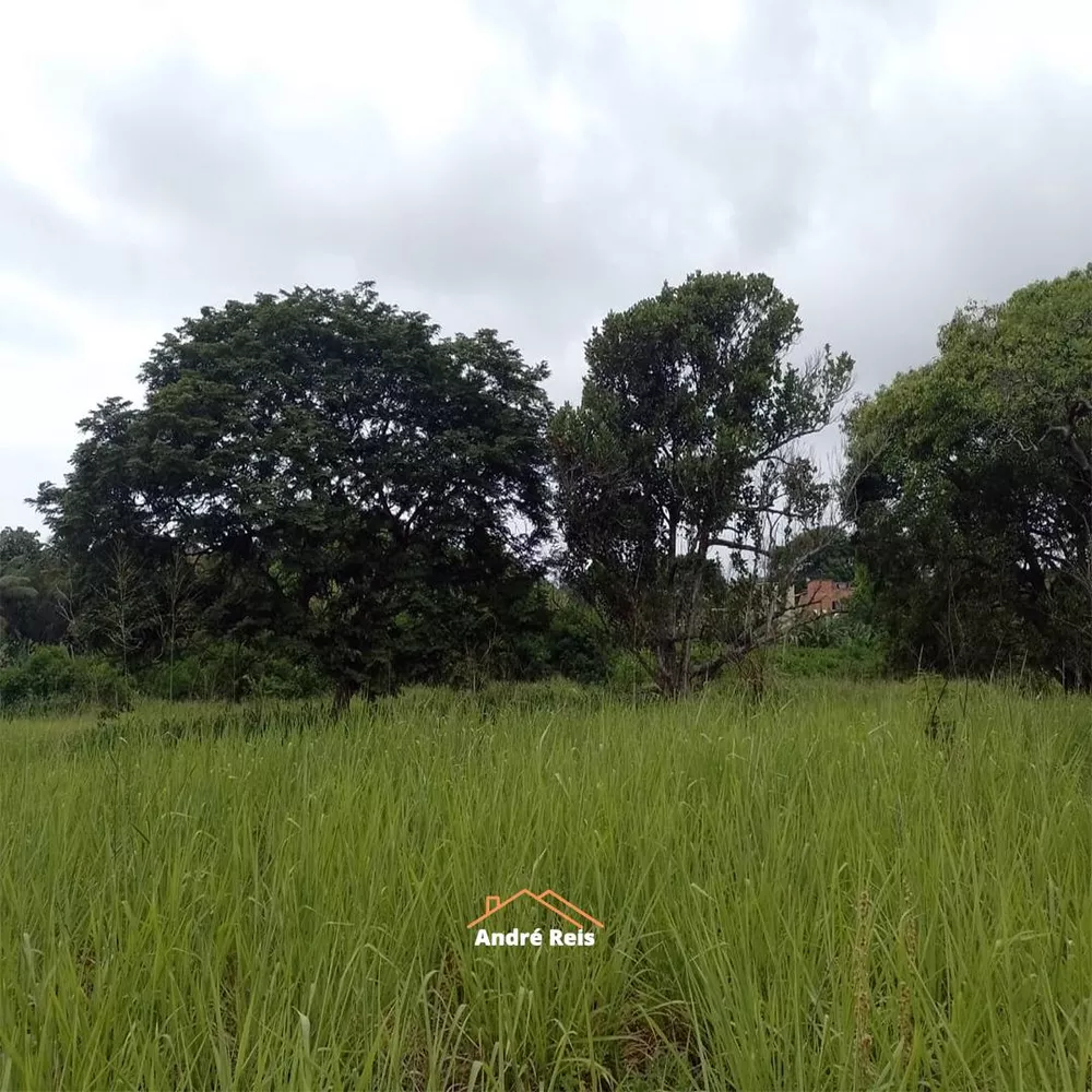 Terreno, 1 hectares - Foto 8