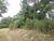 Terreno, 3260 m² - Foto 7