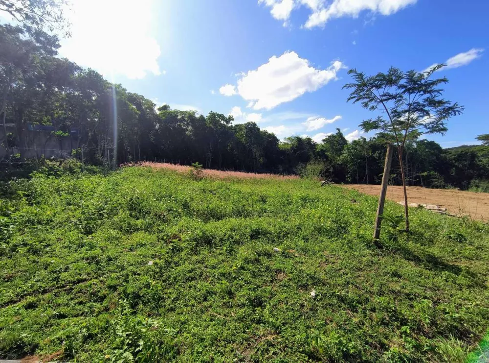 Terreno, 450 m² - Foto 6