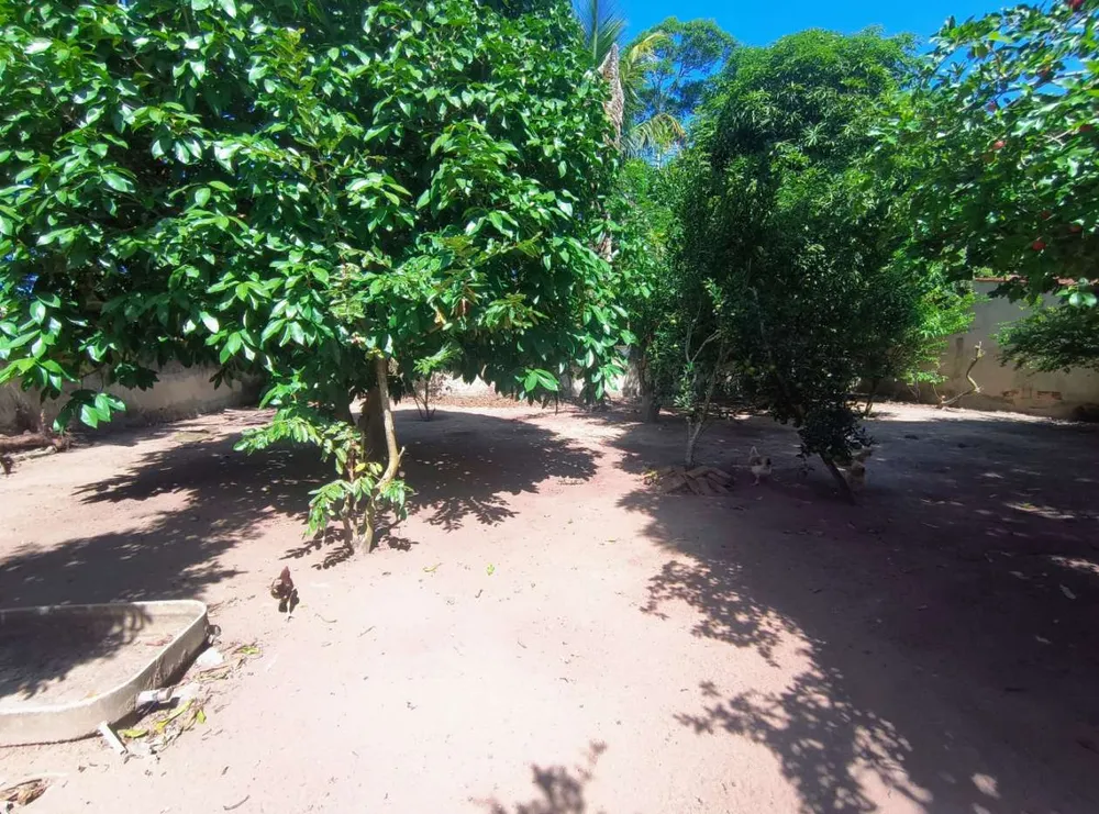 Casa, 2 quartos, 935 m² - Foto 13