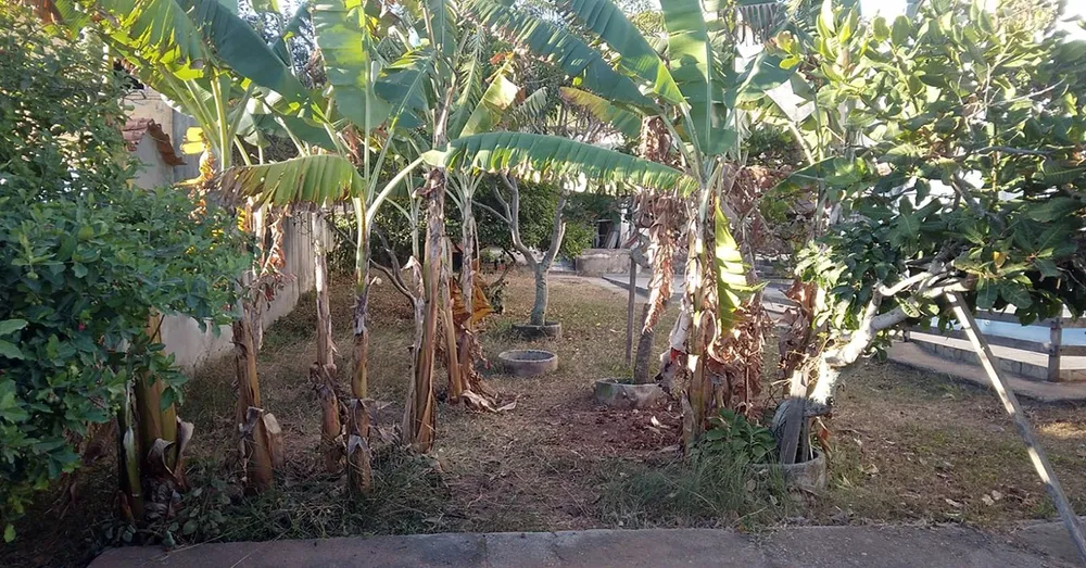 Casa, 5 quartos, 660 m² - Foto 7