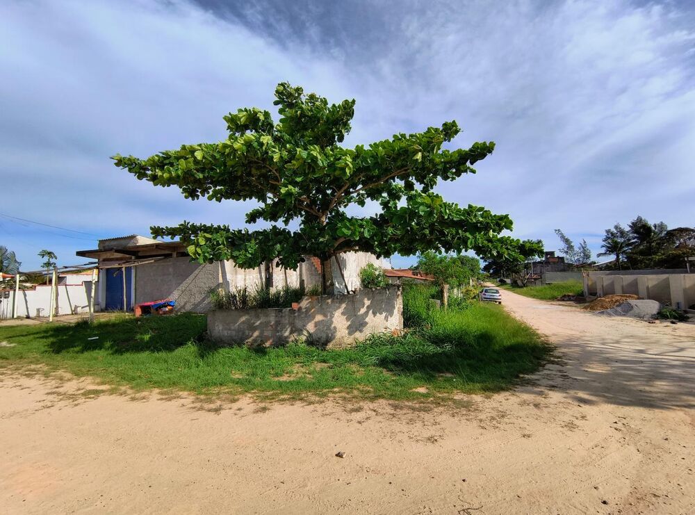 Casa, 1 quarto, 600 m² - Foto 3