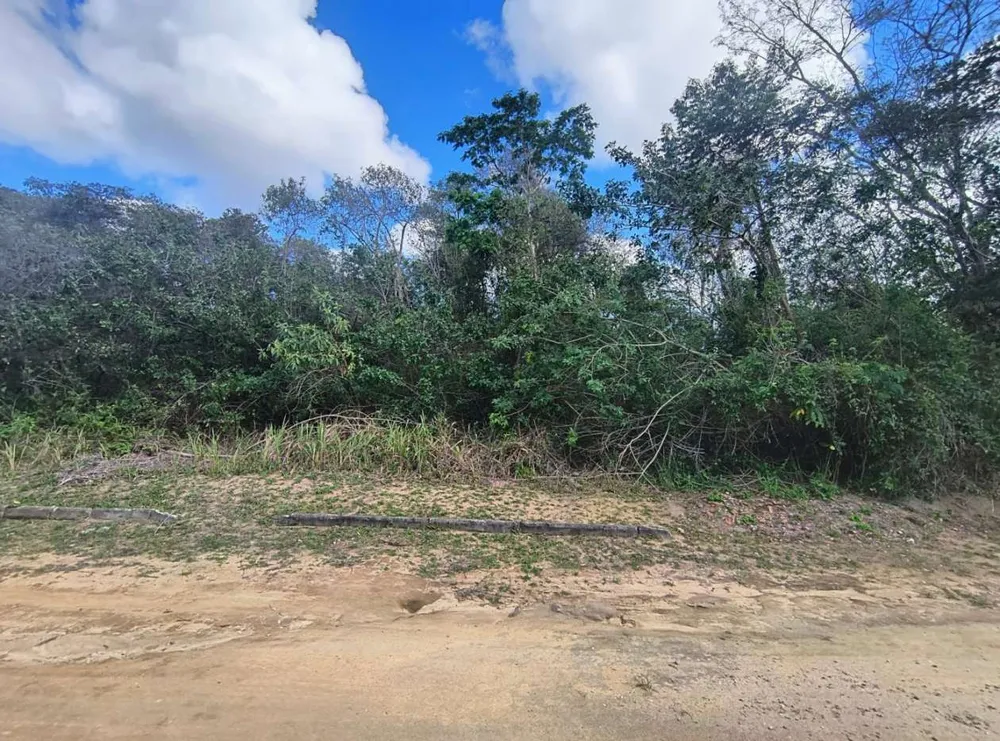 Terreno, 600 m² - Foto 8