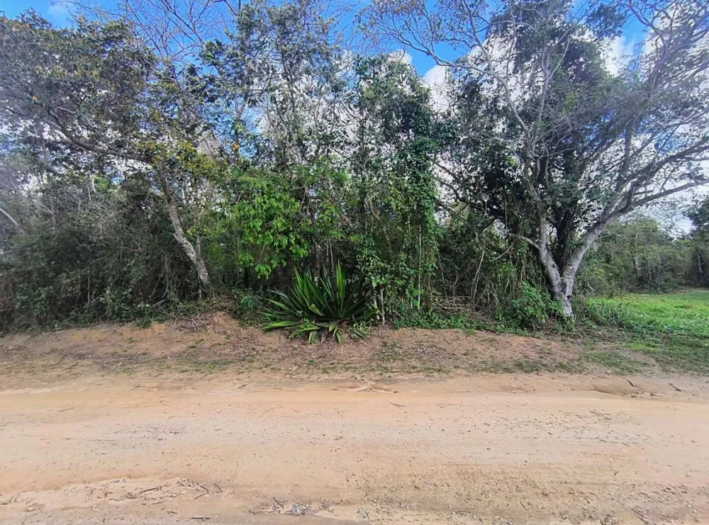 Terreno, 600 m² - Foto 7