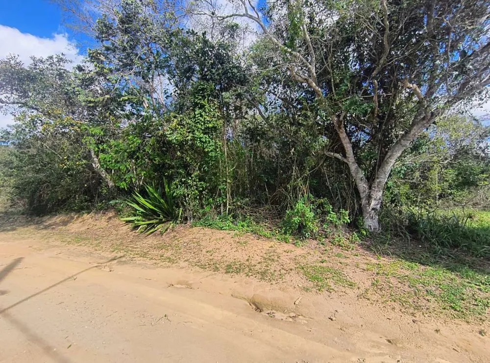 Terreno, 600 m² - Foto 3