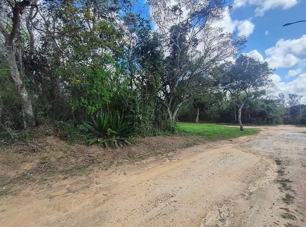 Terreno, 600 m² - Foto 4