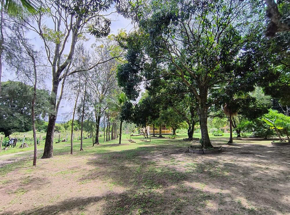 Casa à venda com 5 quartos, 201488m² - Foto 12