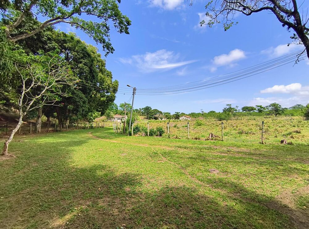 Casa à venda com 5 quartos, 201488m² - Foto 10