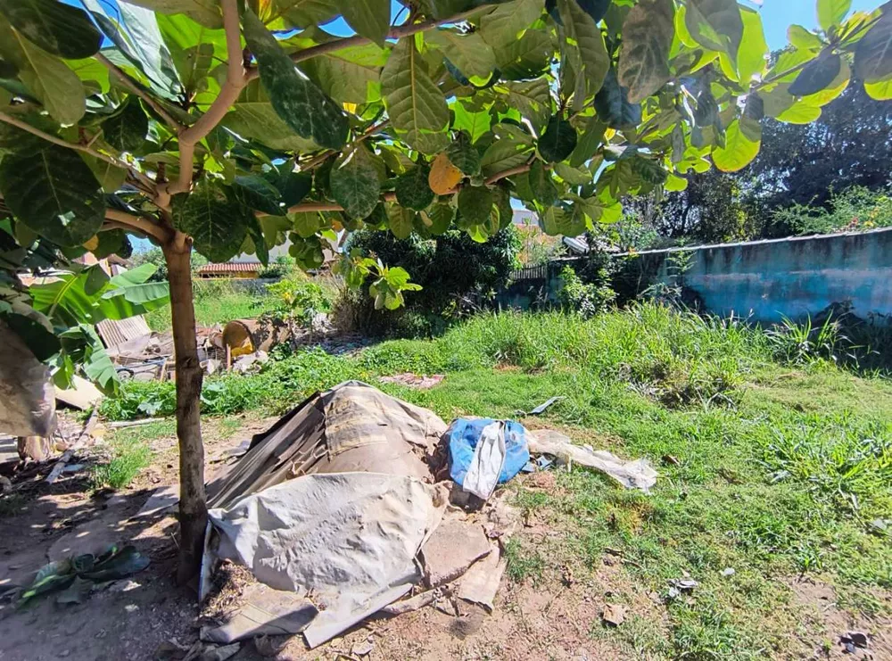 Terreno, 360 m² - Foto 3
