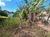 Terreno, 450 m² - Foto 7