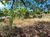 Terreno, 450 m² - Foto 16