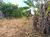 Terreno, 450 m² - Foto 5