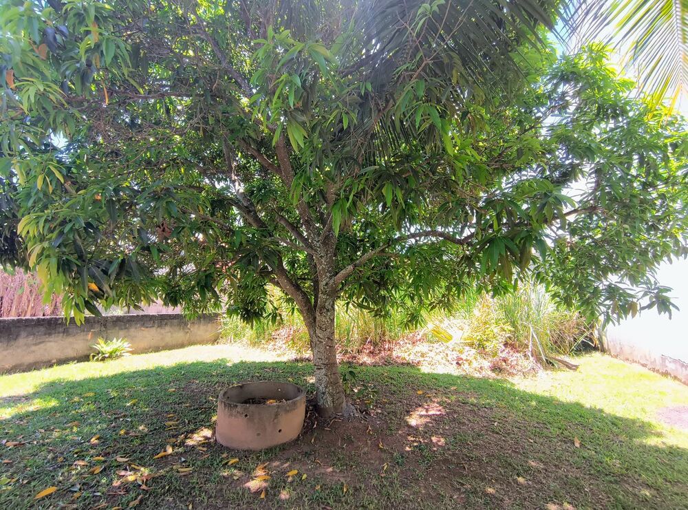 Casa, 2 quartos, 450 m² - Foto 12