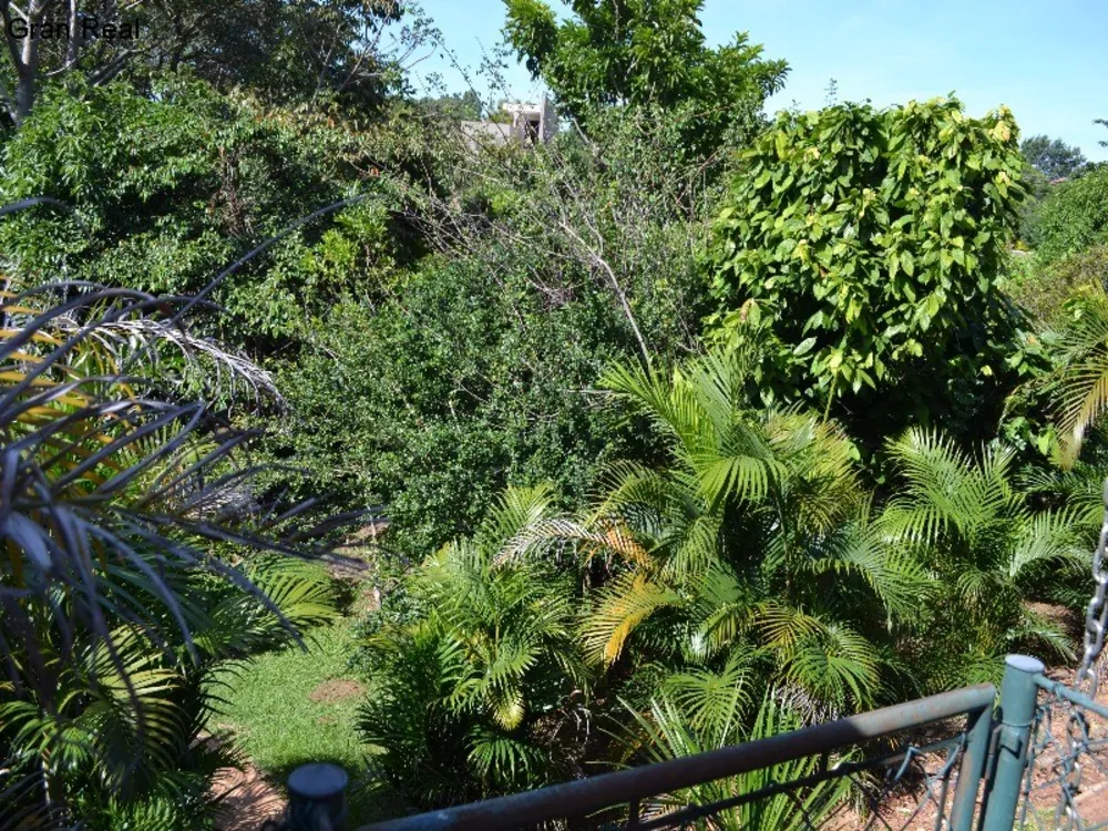 Chácara, 4 quartos, 4200 m² - Foto 9