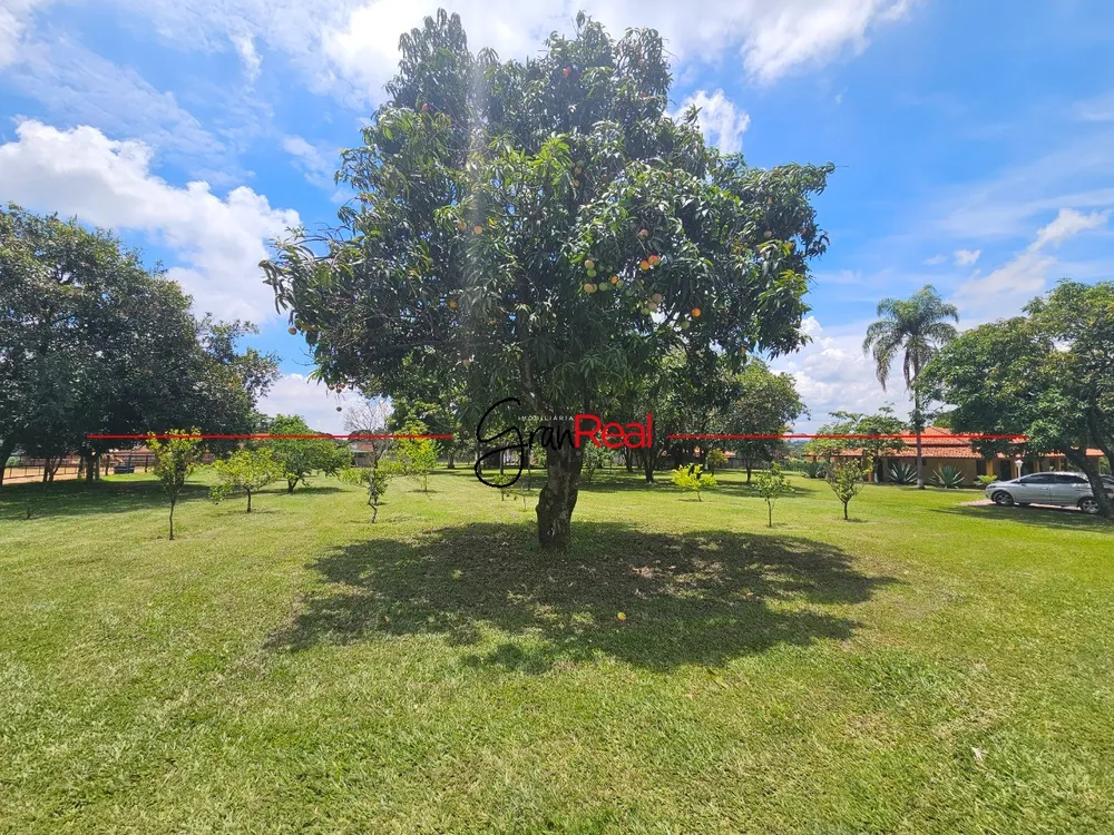 Sítio, 3 quartos, 2 hectares - Foto 14