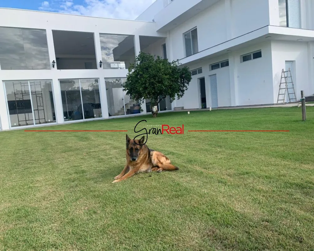 Chácara, 6 quartos, 1000 m² - Foto 6