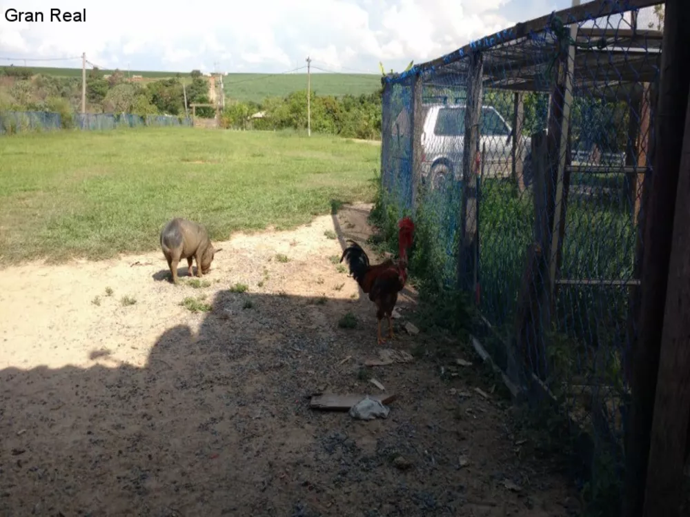 Fazenda à venda com 6 quartos, 700m² - Foto 4