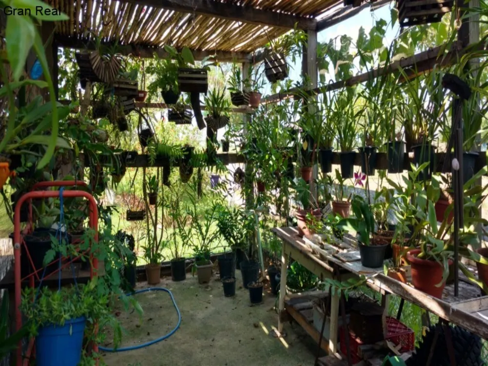Sítio, 6 quartos, 3 hectares - Foto 10