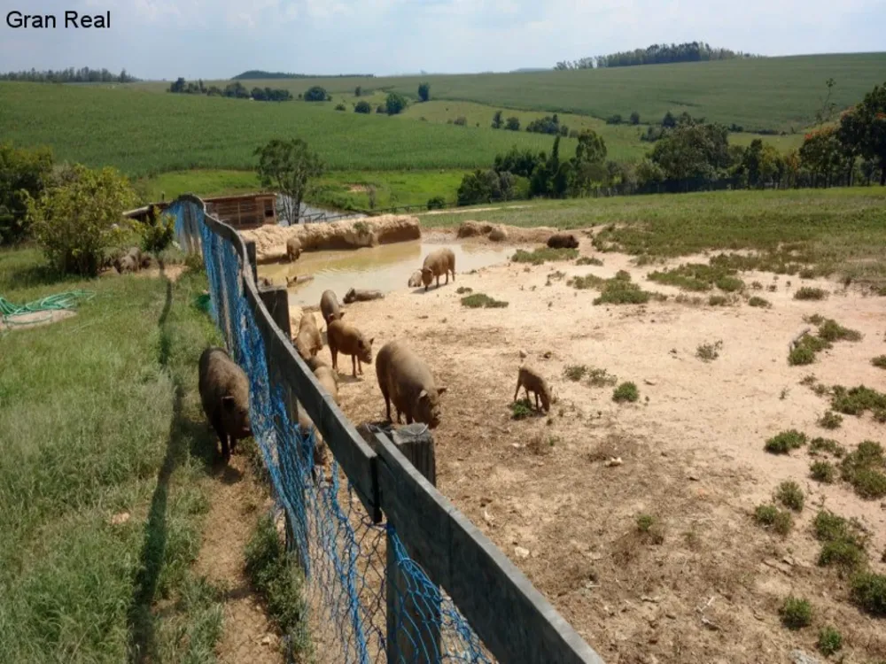 Sítio, 6 quartos, 3 hectares - Foto 16