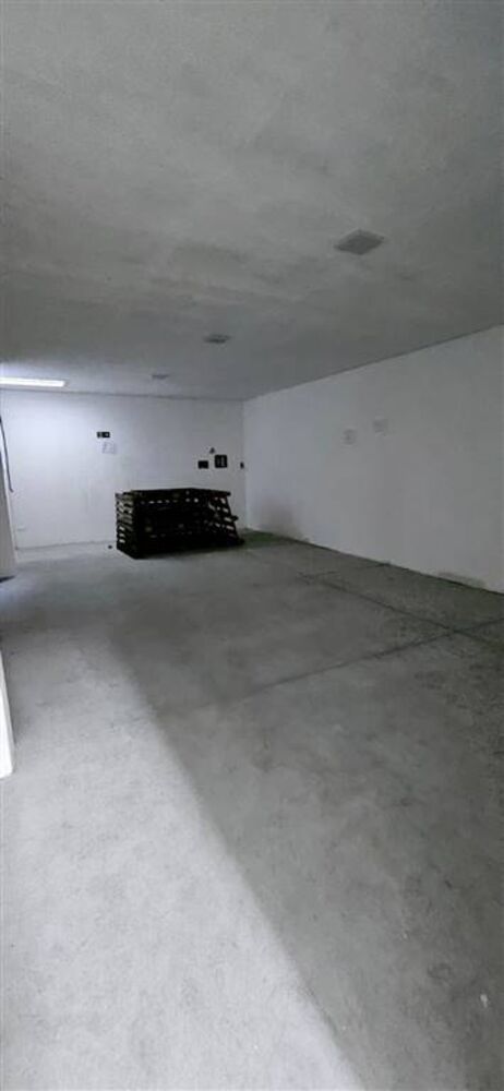 Depósito-Galpão - Foto 10
