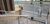 Apartamento, 2 quartos, 82 m² - Foto 7