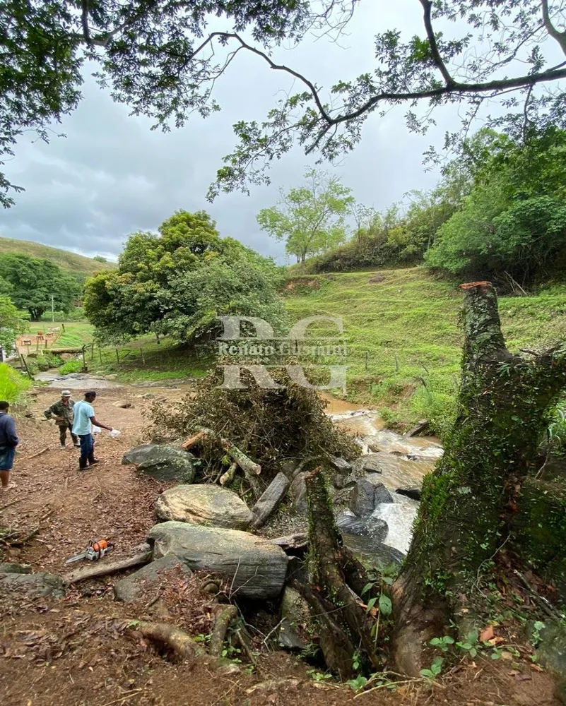 Fazenda, 63 hectares - Foto 16