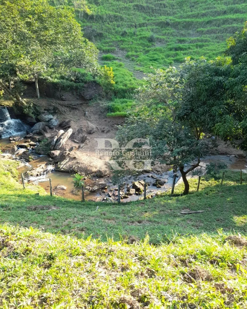 Fazenda, 63 hectares - Foto 21