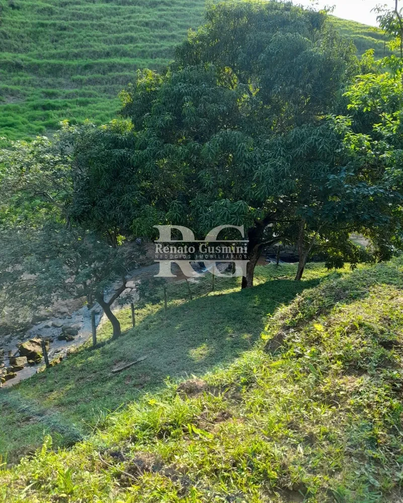 Fazenda, 63 hectares - Foto 22
