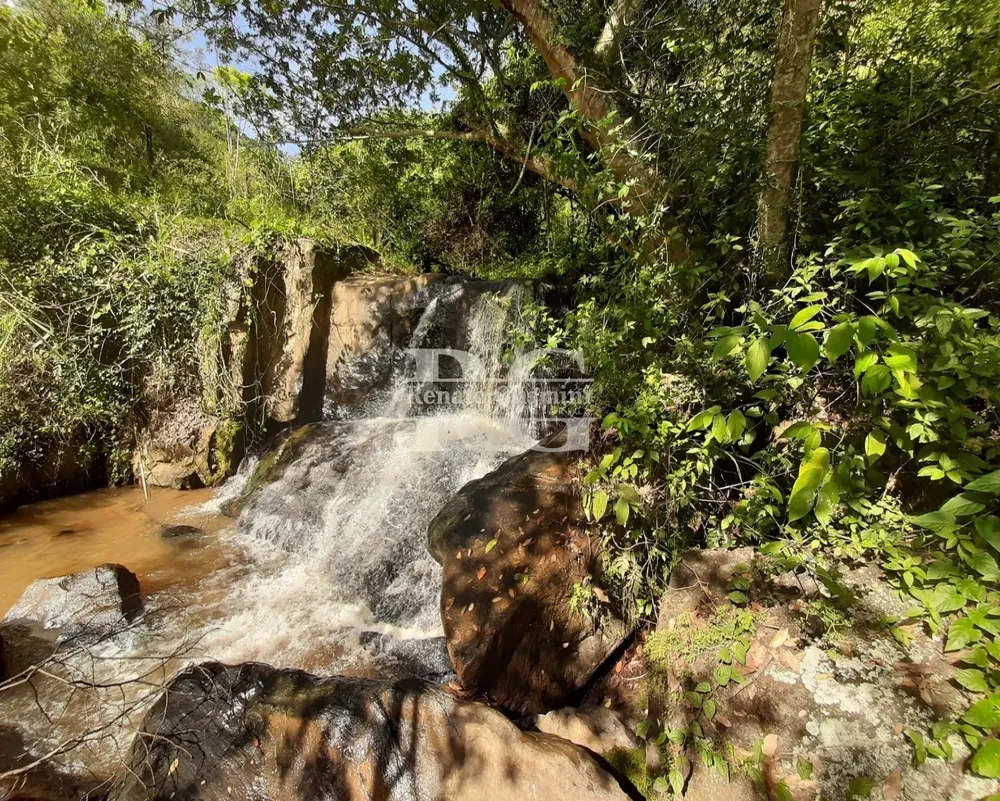 Fazenda, 63 hectares - Foto 1