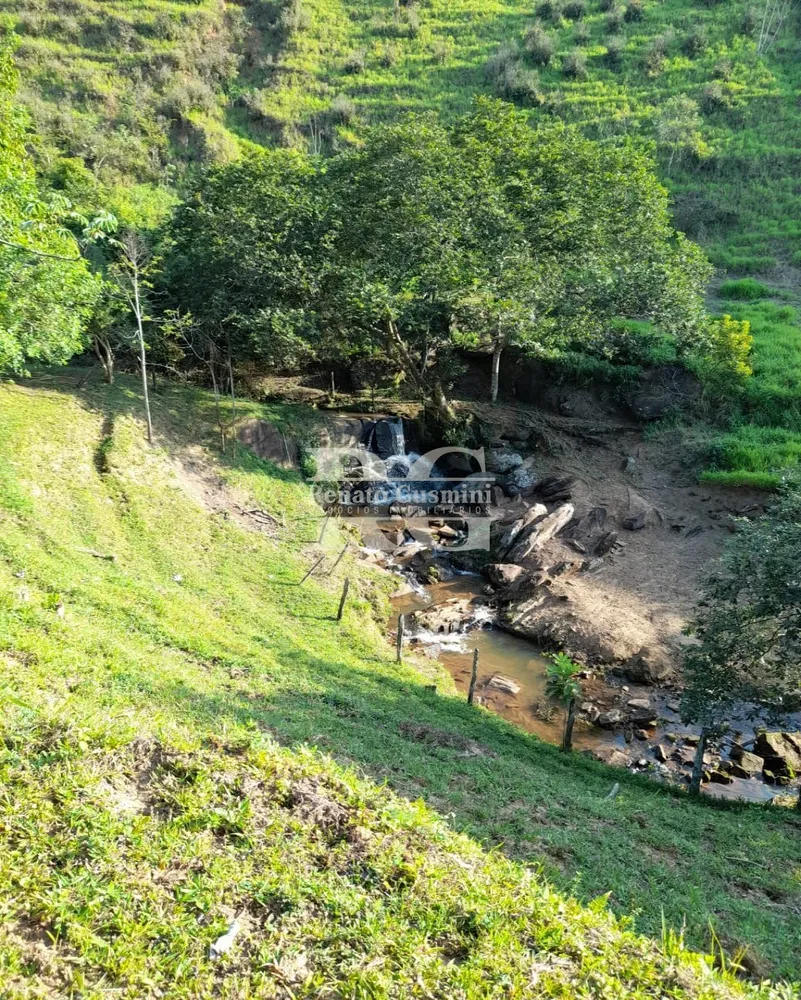 Fazenda, 63 hectares - Foto 23