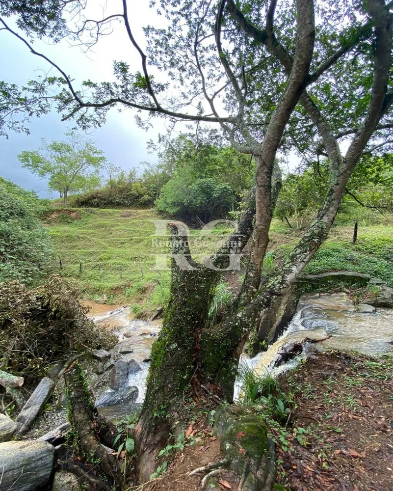 Fazenda, 63 hectares - Foto 18