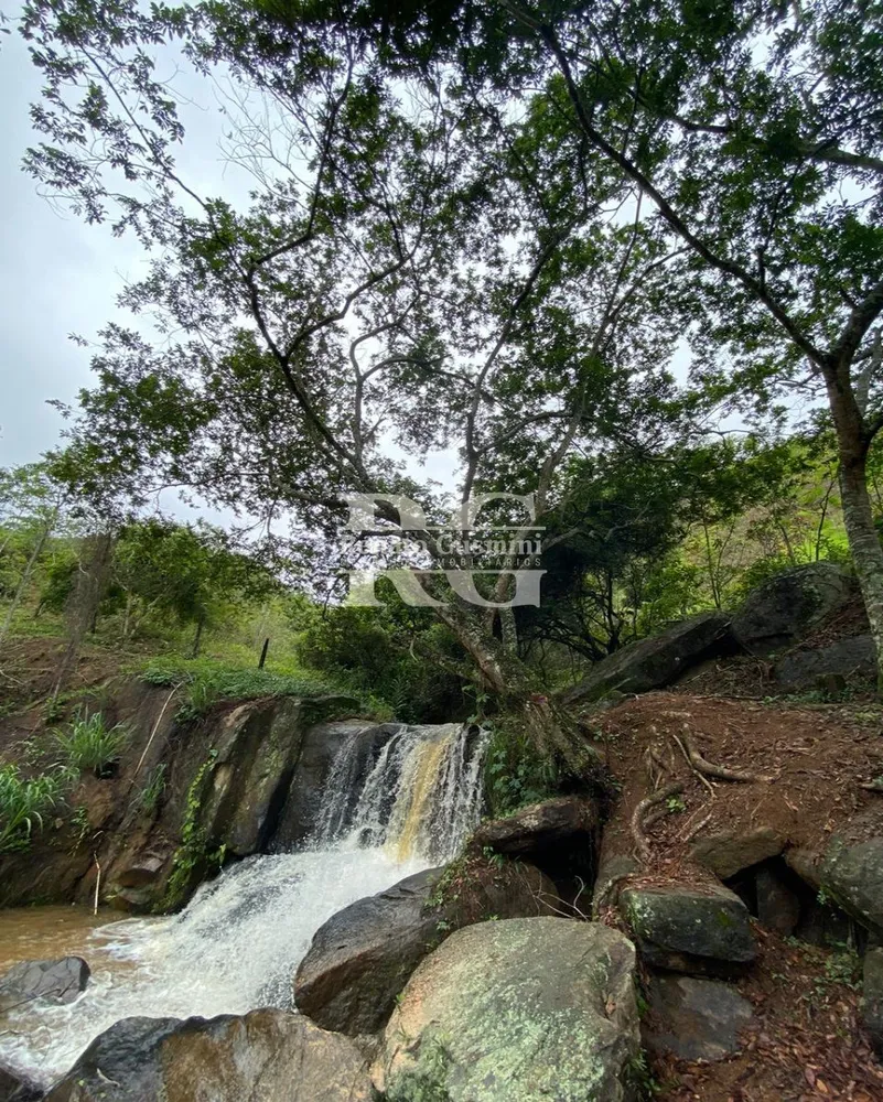 Fazenda, 63 hectares - Foto 6