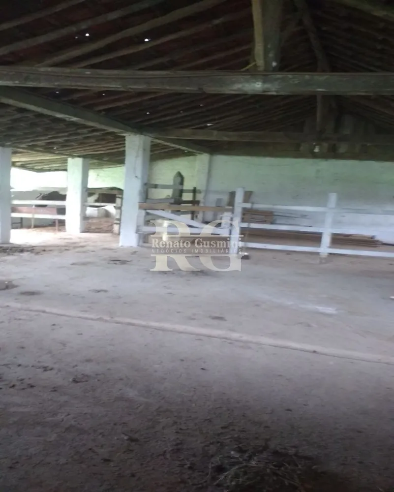 Fazenda, 39 hectares - Foto 30
